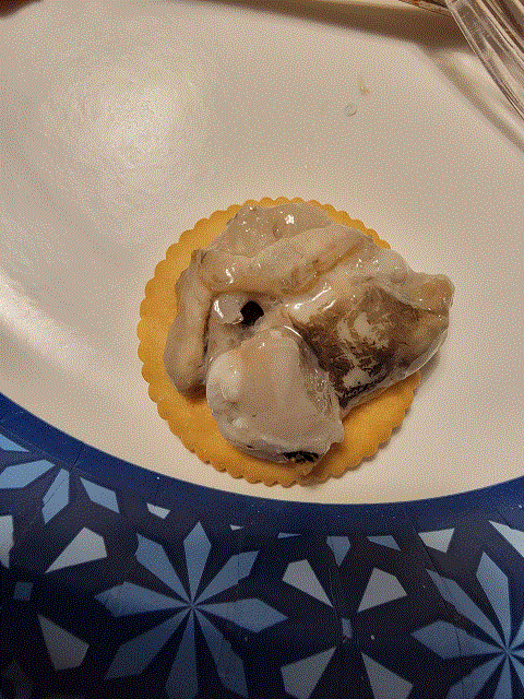 Oyster on Ritz.gif